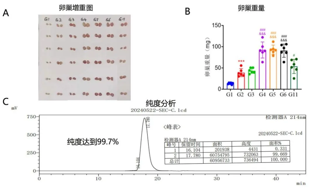 純度高、活性好！力牧生物牛用FSH完成大鼠測(cè)定實(shí)驗(yàn)