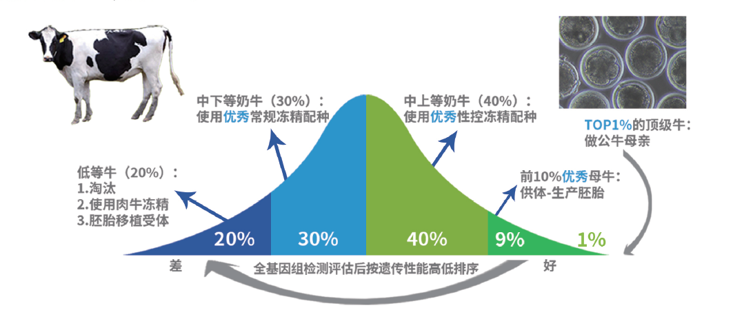 全基因組檢測(cè)評(píng)估