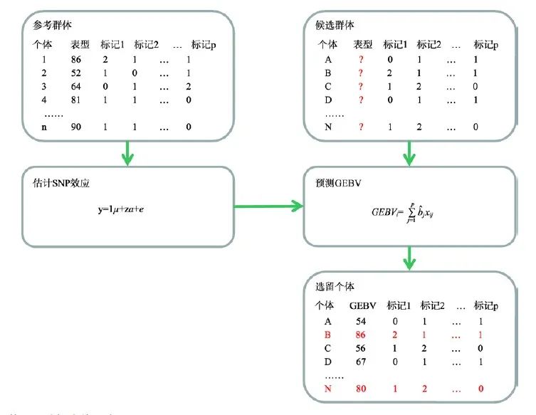 參考群體