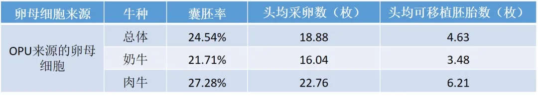 體外胚胎生產效率