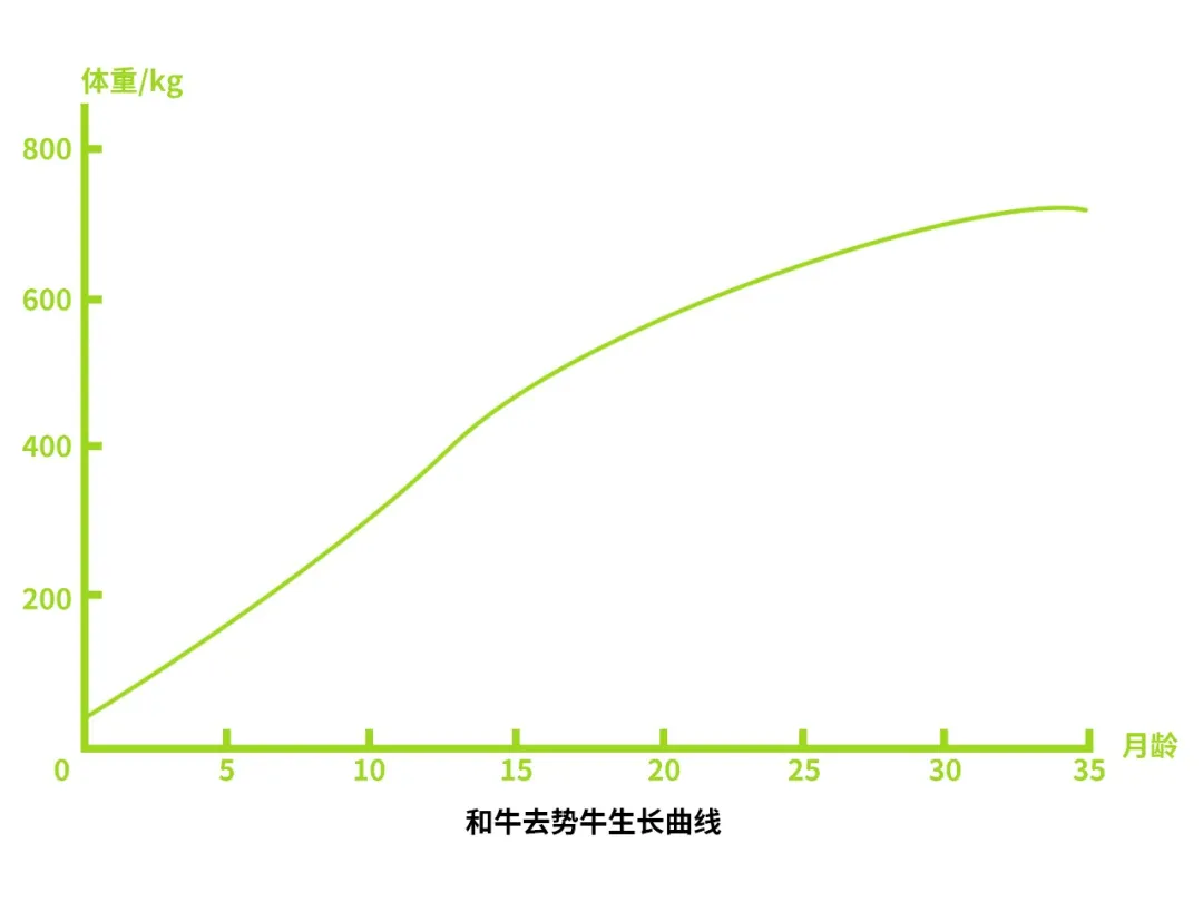 和牛去勢牛生長曲線